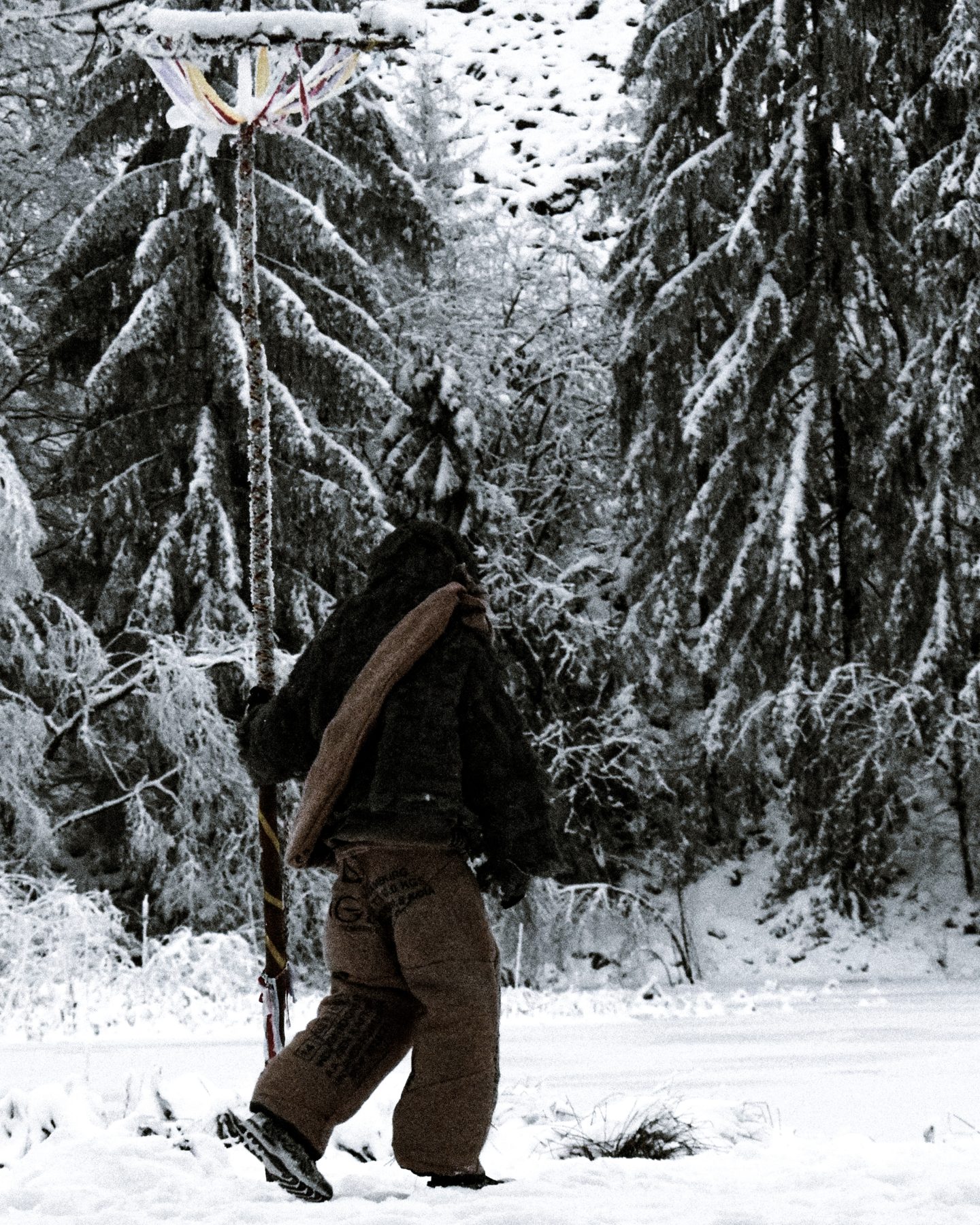 Wilder Mann Bild 1